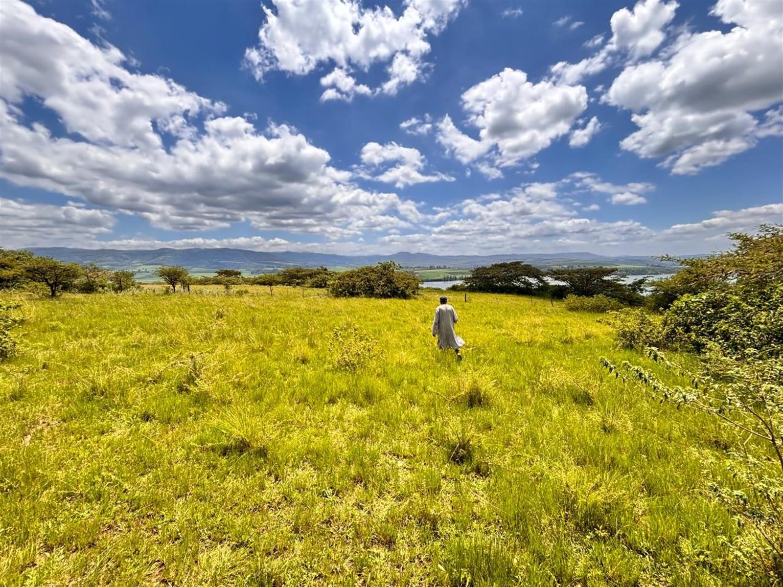 Exceptional Farm For Sale in Albert Falls, Pietermaritzburg, KwaZulu Natal