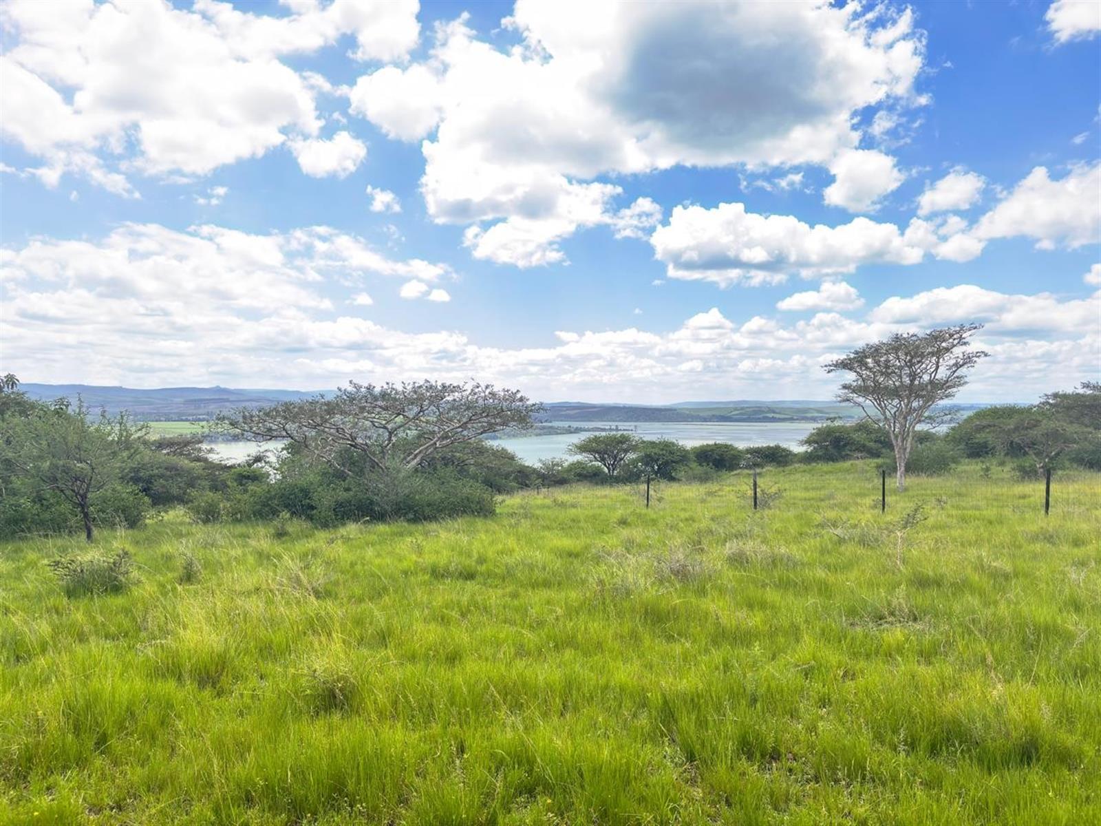 Exceptional Farm For Sale in Albert Falls, Pietermaritzburg, KwaZulu Natal