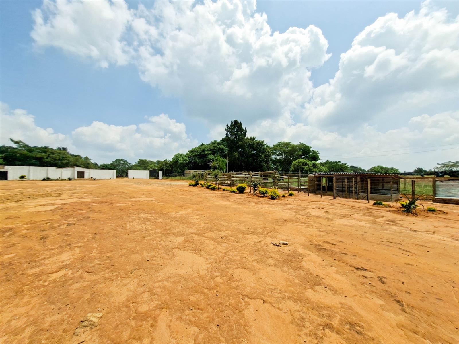 Small Holding For Sale in Glen Austin AH, Midrand