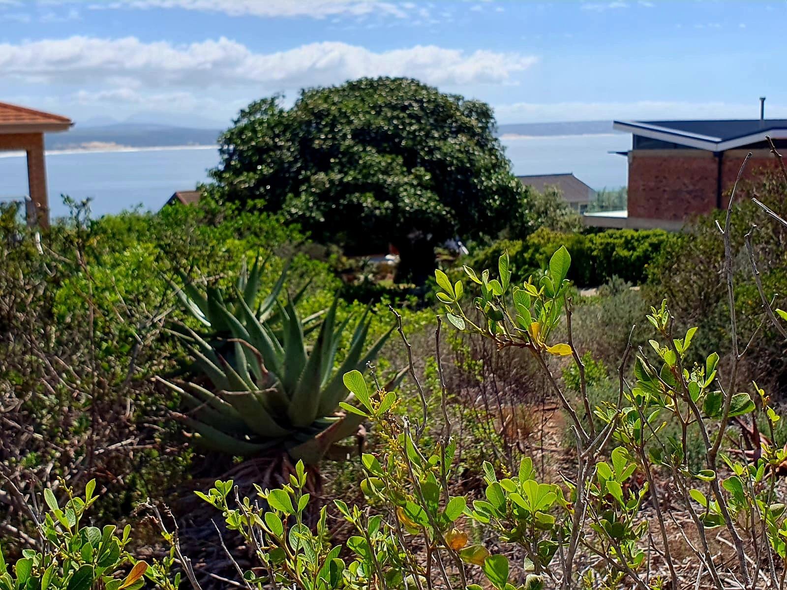 Spacious Coastal Stand with Sea Views and Dual-Living Potential
