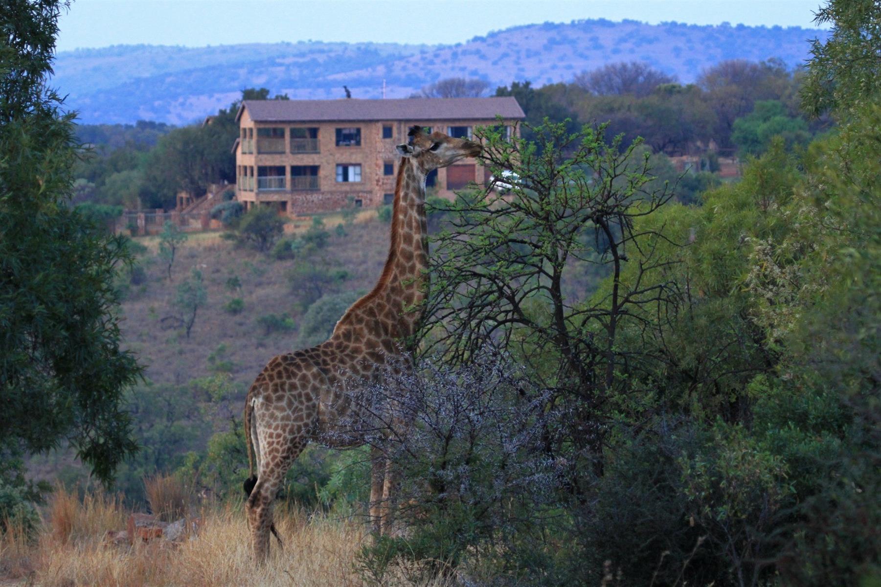 PRIVATE WILDLIFE ESTATE LIVING