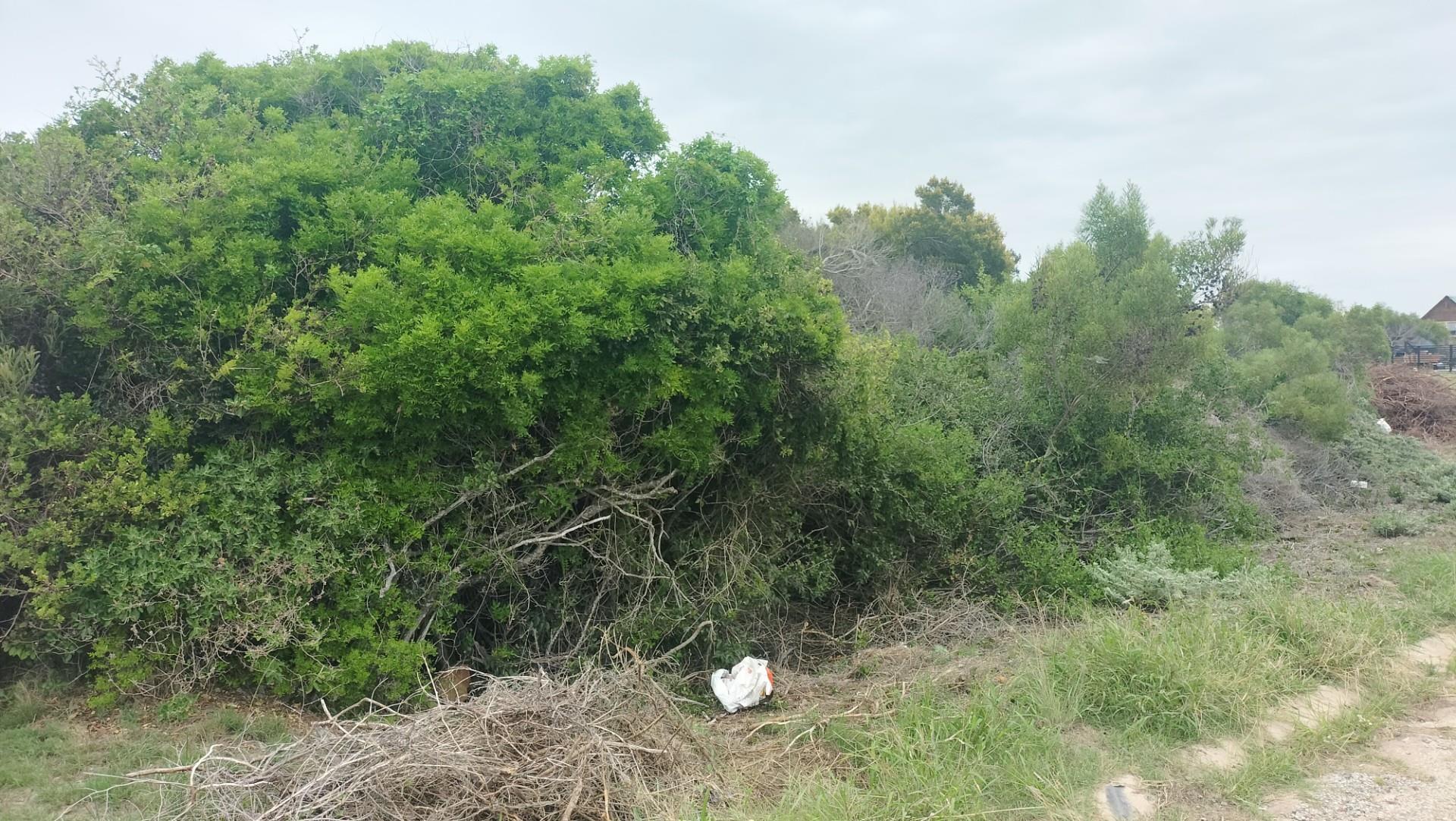 Vacant Land For Sale in Paradise Baech