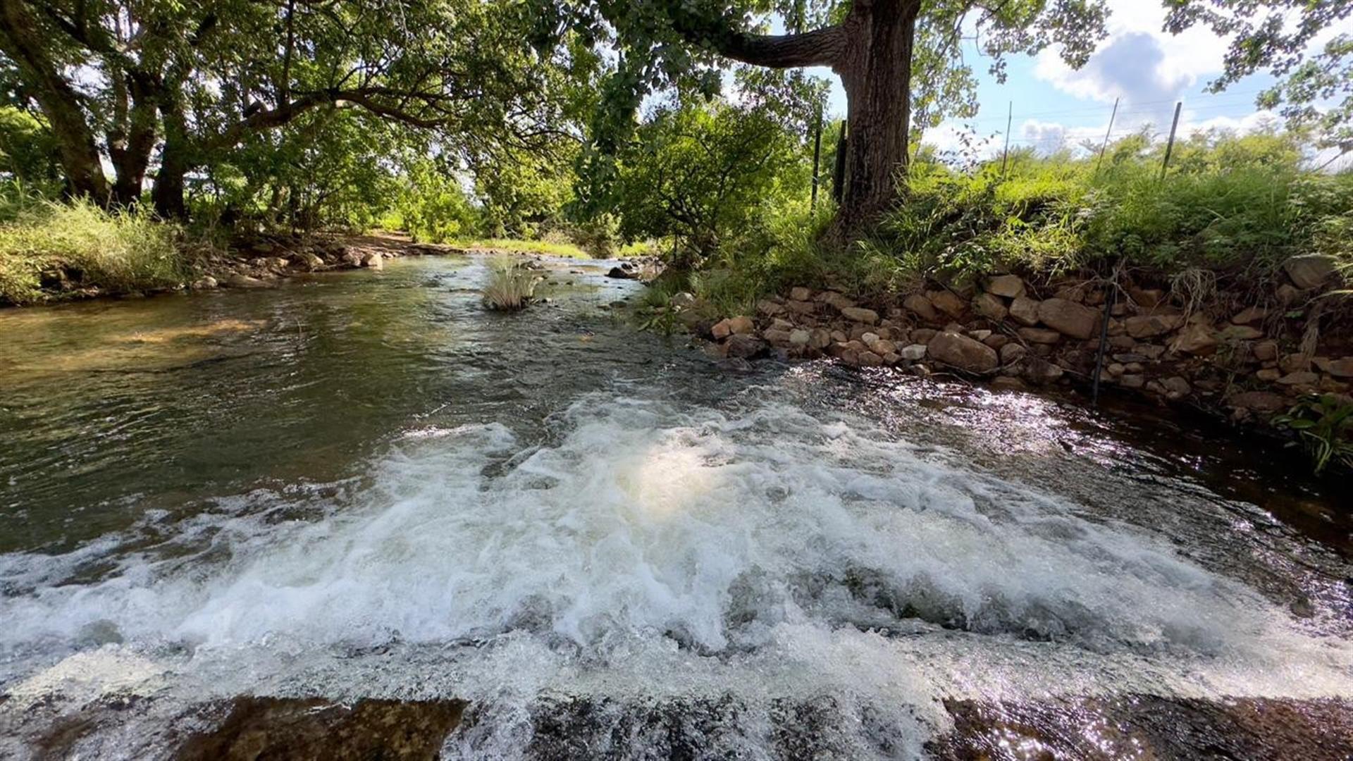 Spectacular 144ha Lifestyle Farm in the Steenkamps Mountains near Lydenburg