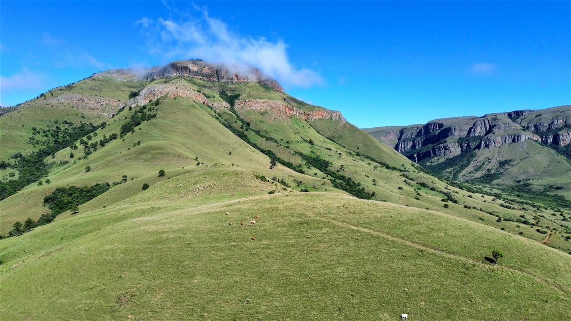 Spectacular 144ha Lifestyle Farm in the Steenkamps Mountains near Lydenburg