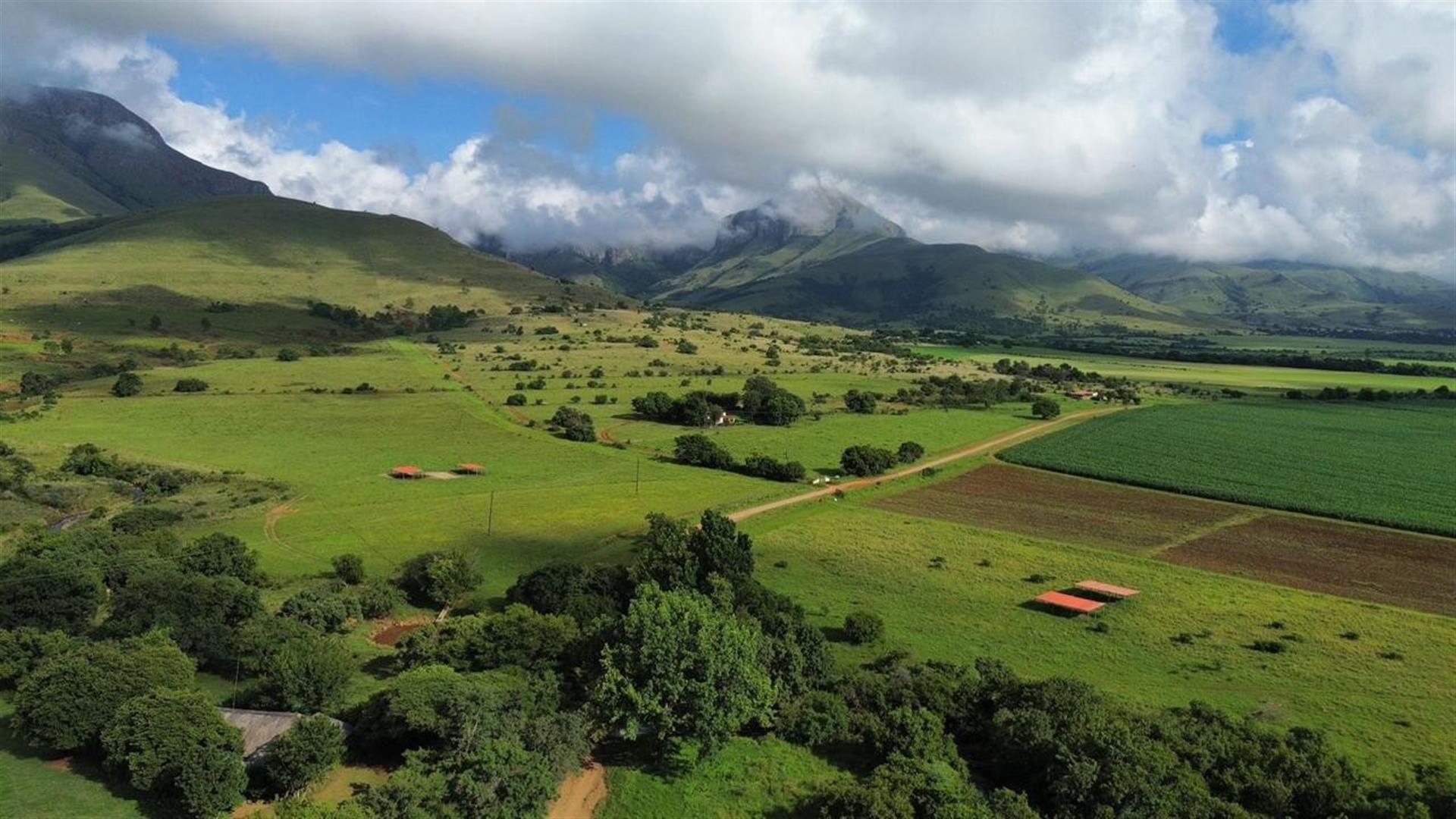 Spectacular 144ha Lifestyle Farm in the Steenkamps Mountains near Lydenburg