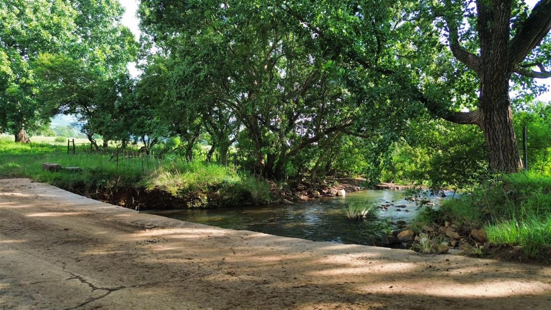 Spectacular 144ha Lifestyle Farm in the Steenkamps Mountains near Lydenburg