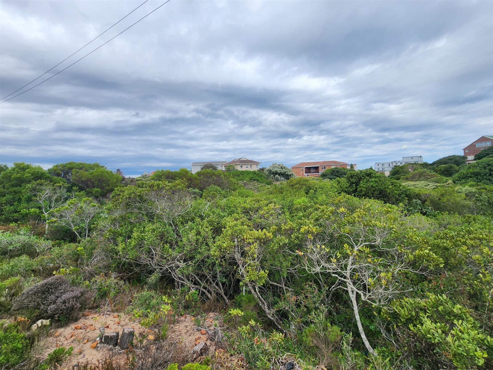 On the border of a green belt in Paradise Beach Eastern Cape