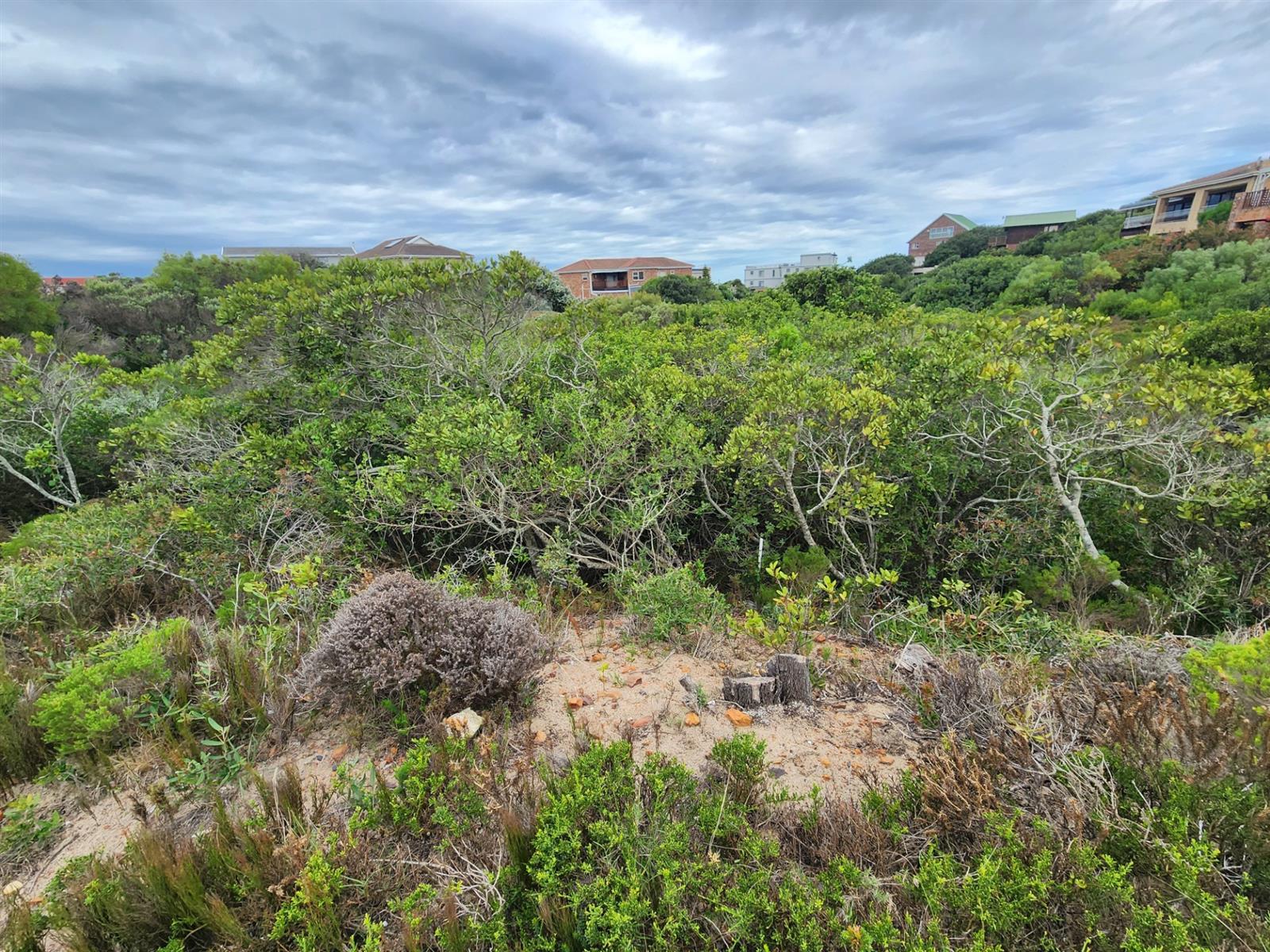 On the border of a green belt in Paradise Beach Eastern Cape