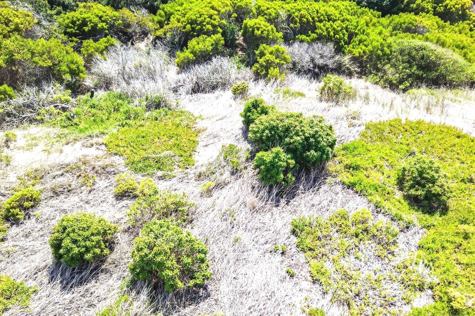 Vacant Land for sale in Paradise Beach, Jeffreys Bay, 1048 m²