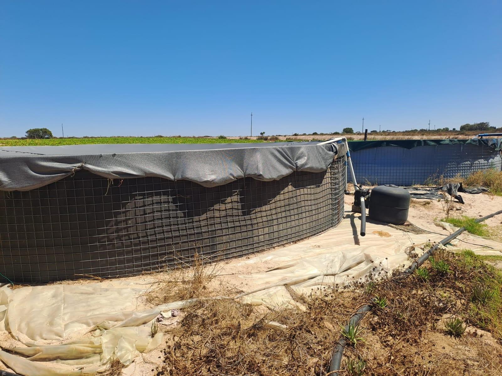 Turnkey Income-Producing Vegetable Farm - Hopefield