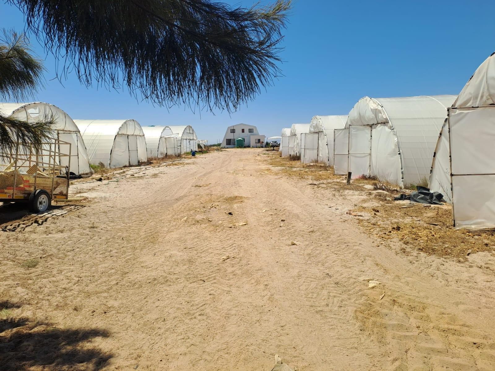 Turnkey Income-Producing Vegetable Farm - Hopefield