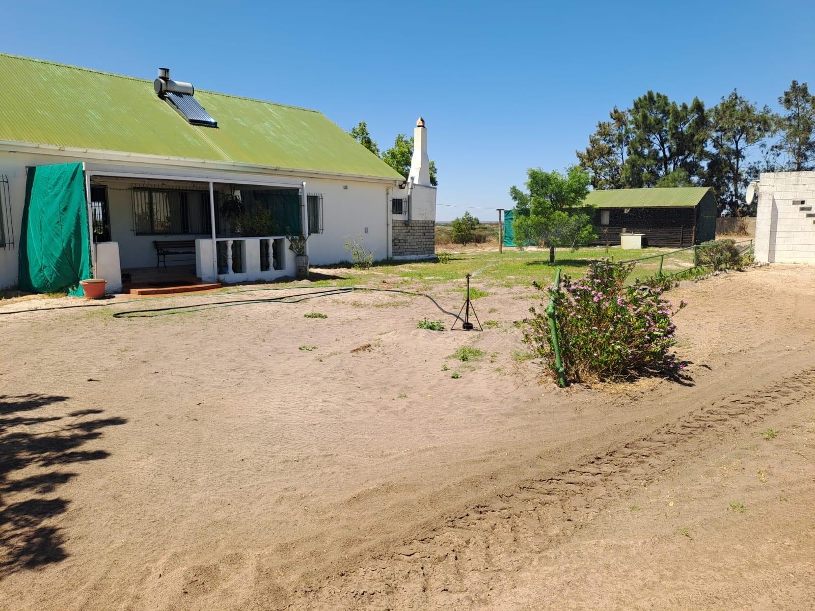 Turnkey Income-Producing Vegetable Farm - Hopefield