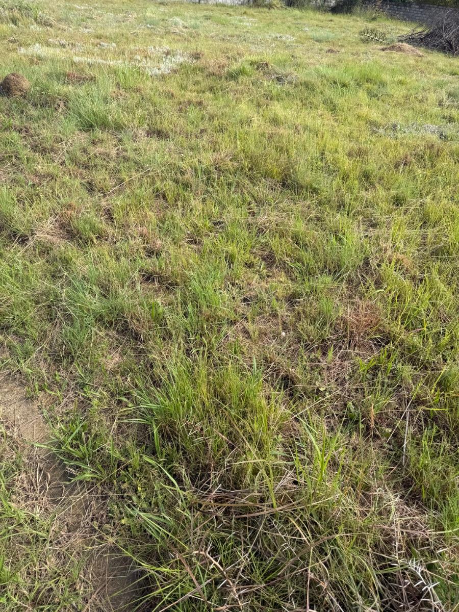 Vacant land for sale at Vryheid