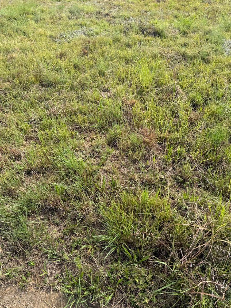 Vacant land for sale at Vryheid