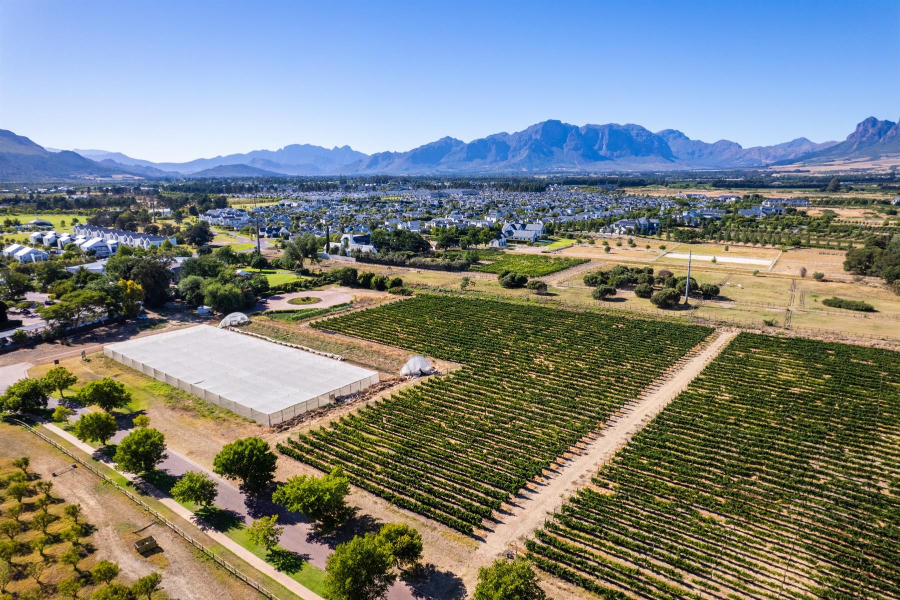Farm For Sale in Val de Vie Estate, Paarl