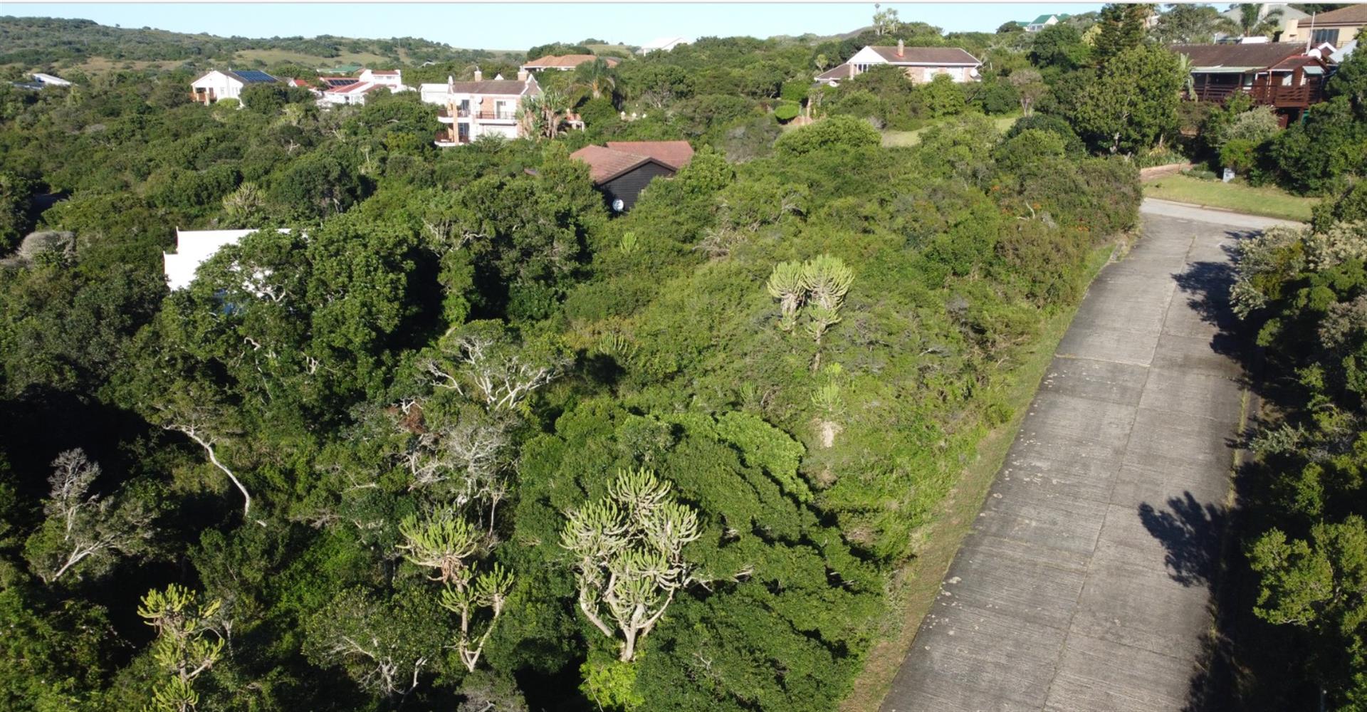 Plot Overlooking the Kleinemonde East River