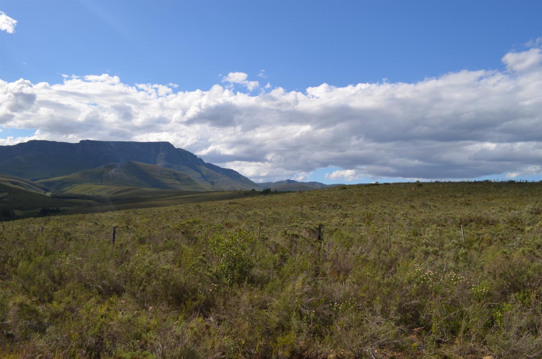Farm For Sale Riversdal