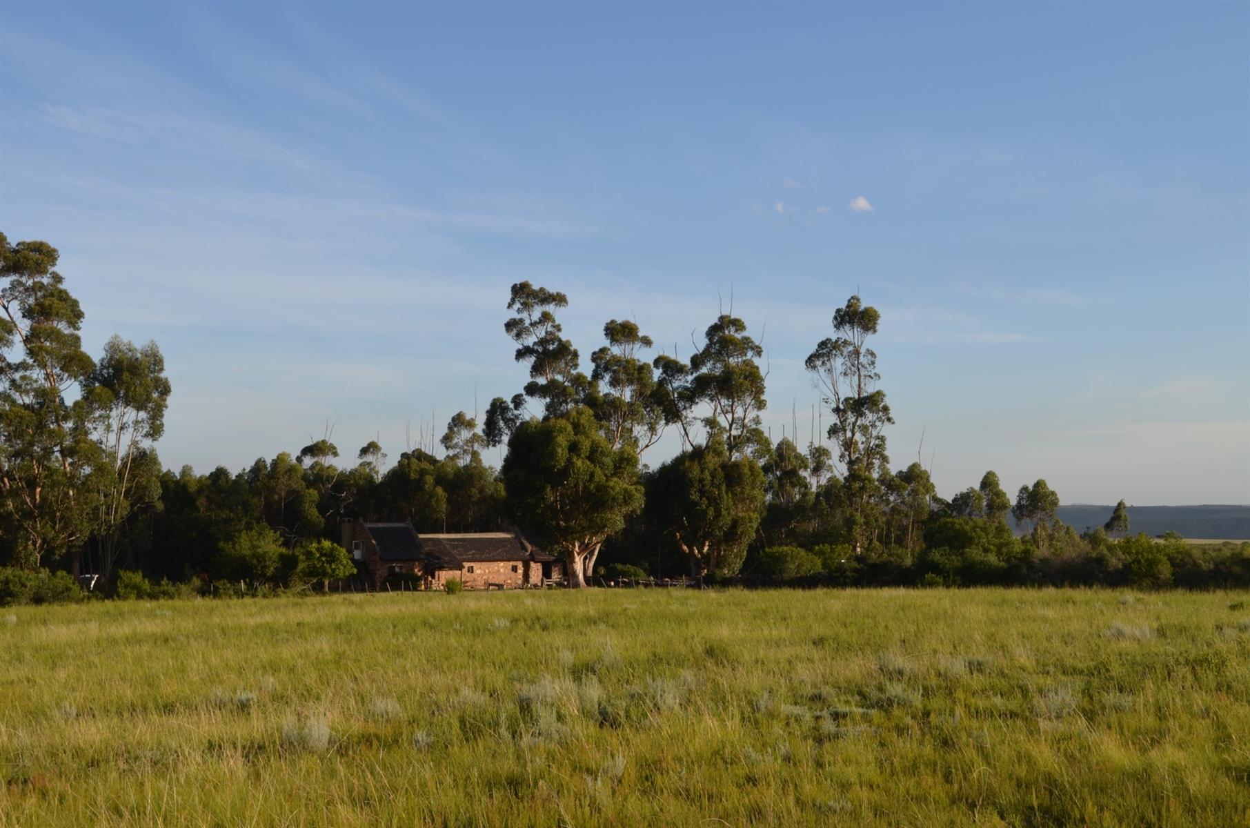 Farm For Sale Riversdal
