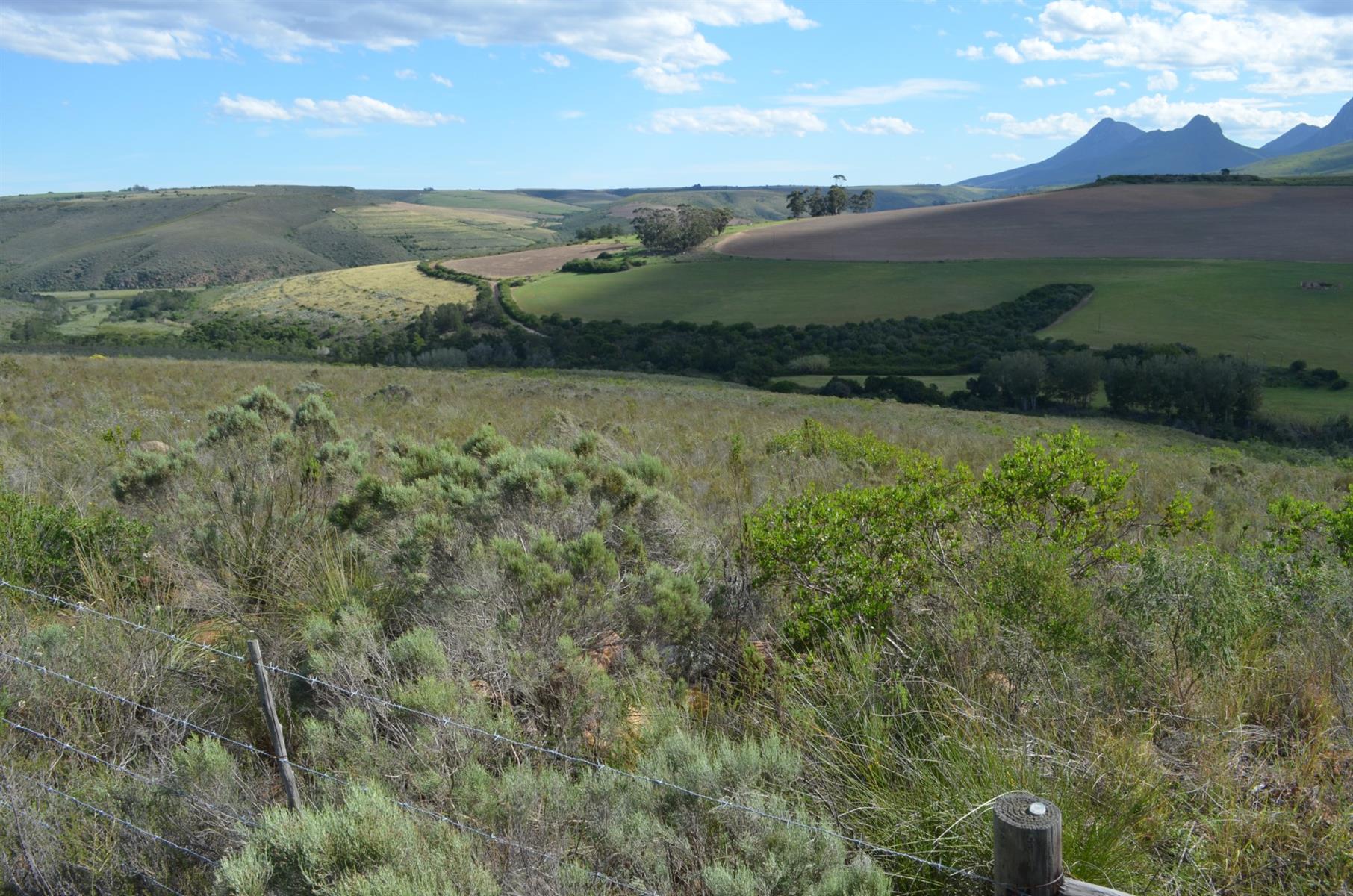 Farm For Sale Riversdal