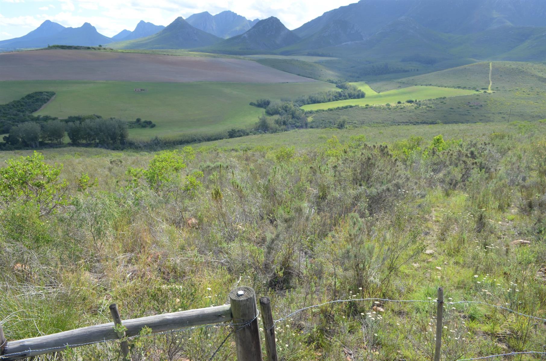 Farm For Sale Riversdal