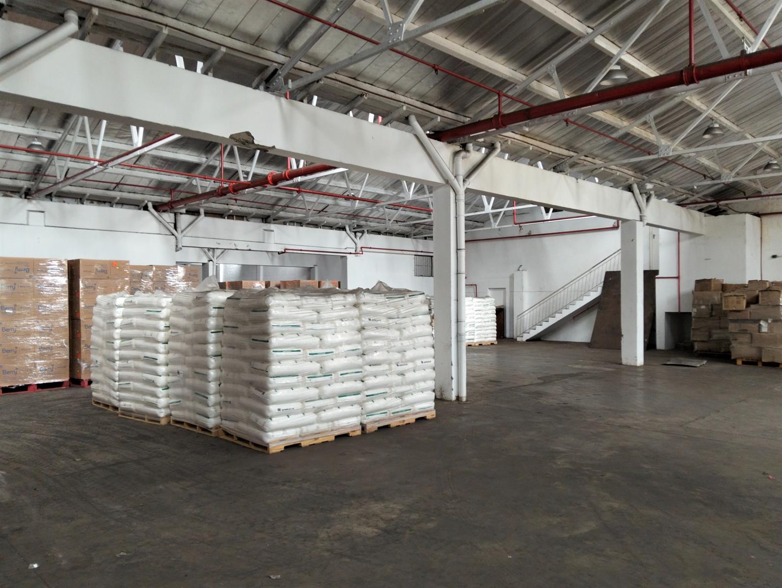 Warehouse To Rent in Umbilo, Durban, KwaZulu Natal