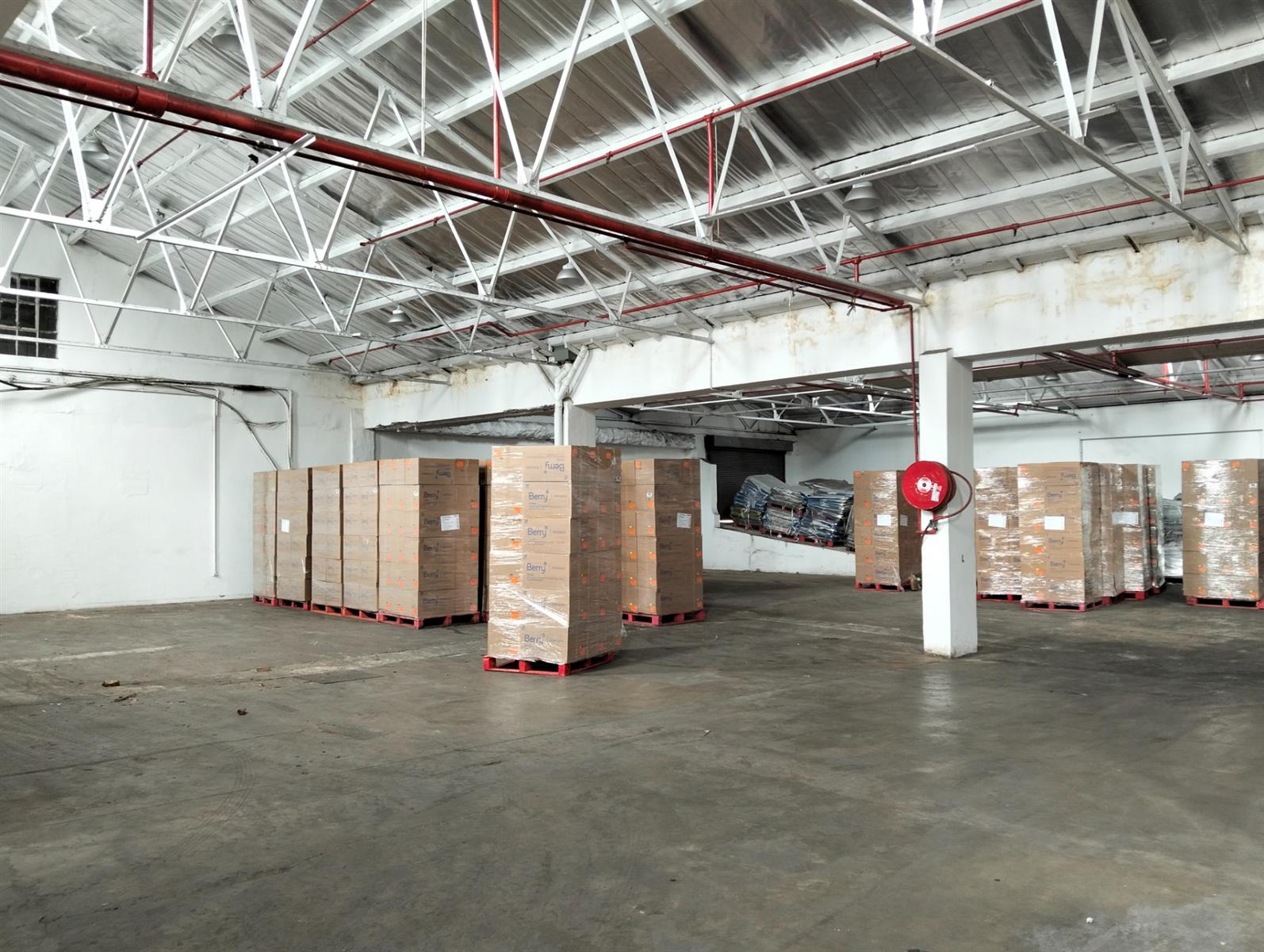 Warehouse To Rent in Umbilo, Durban, KwaZulu Natal