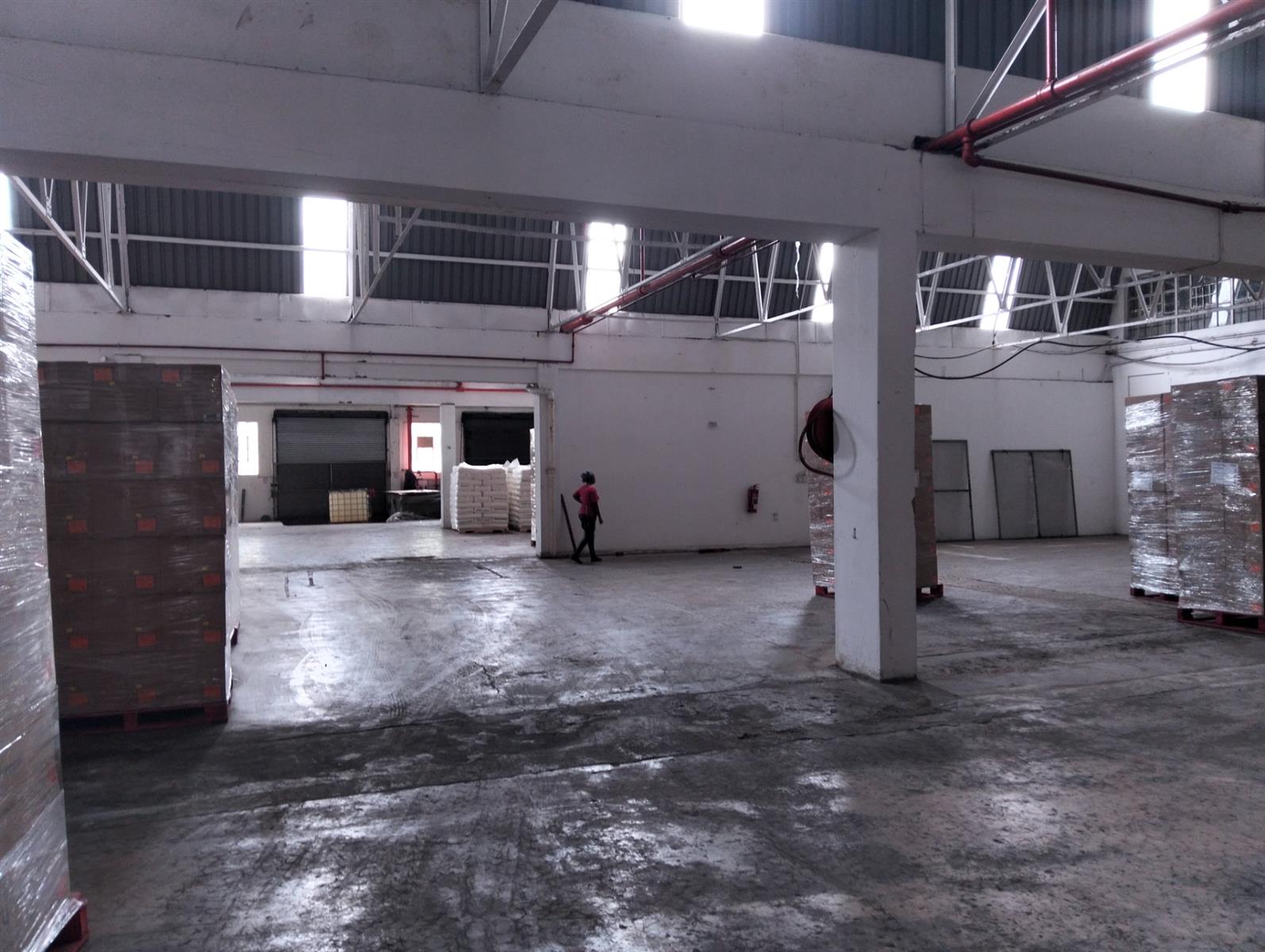 Warehouse To Rent in Umbilo, Durban, KwaZulu Natal