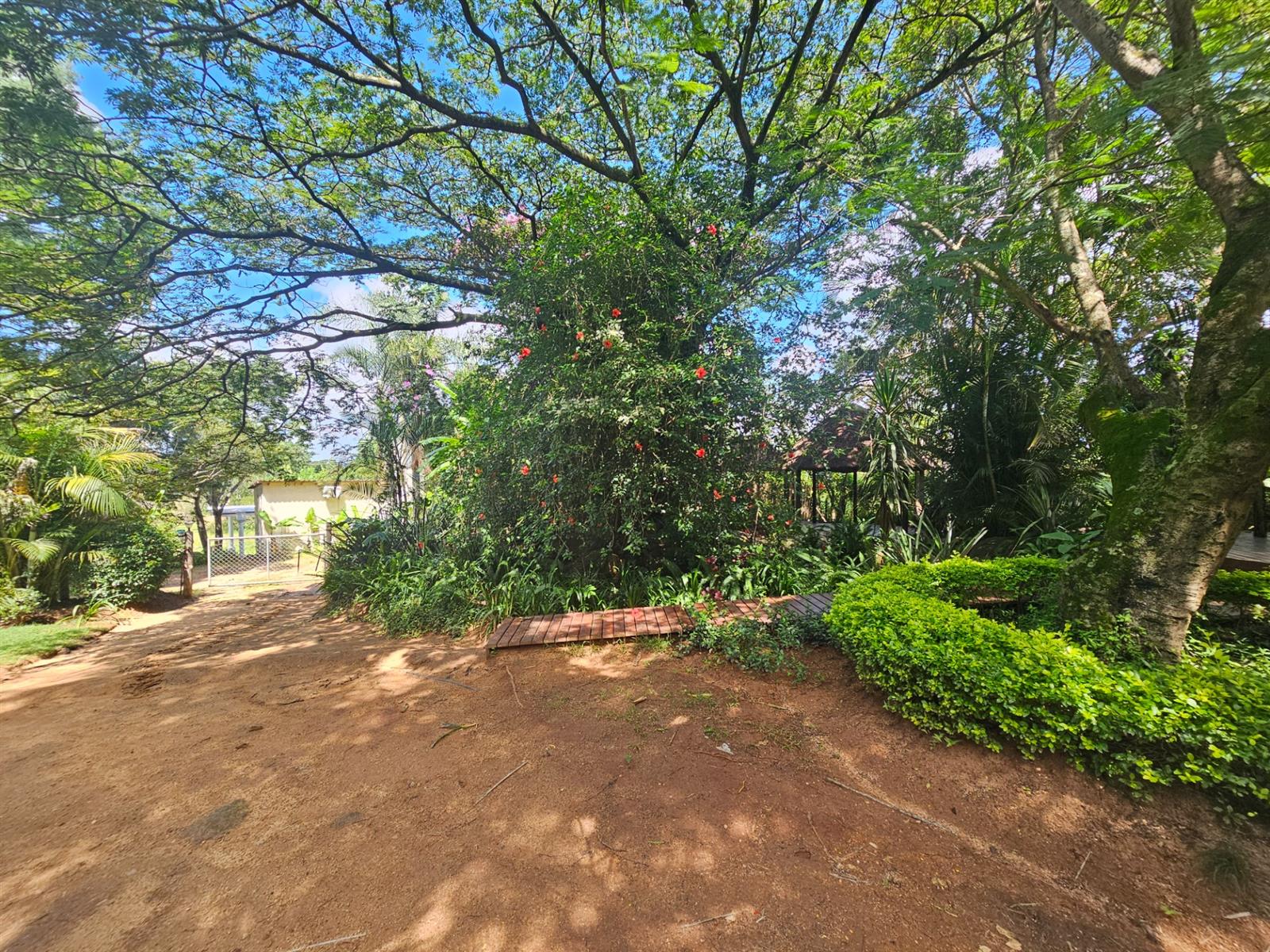 House To Rent in Drum Rock Nelspruit Mpumalanga