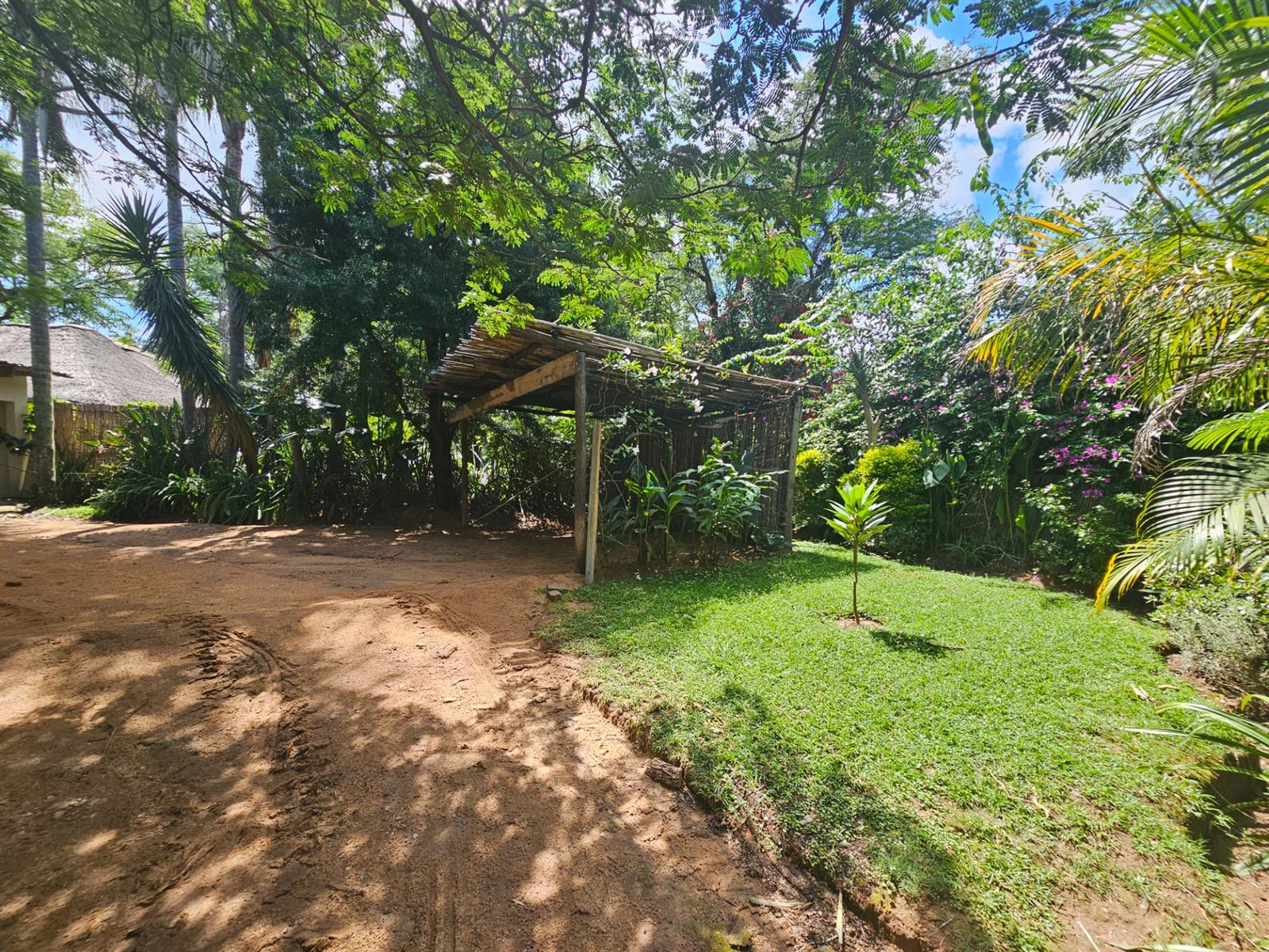 House To Rent in Drum Rock Nelspruit Mpumalanga