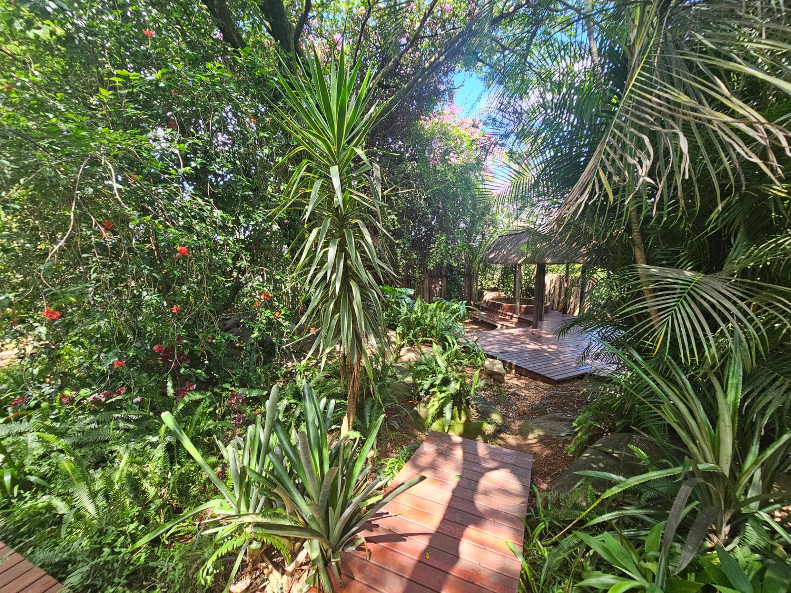 House To Rent in Drum Rock Nelspruit Mpumalanga