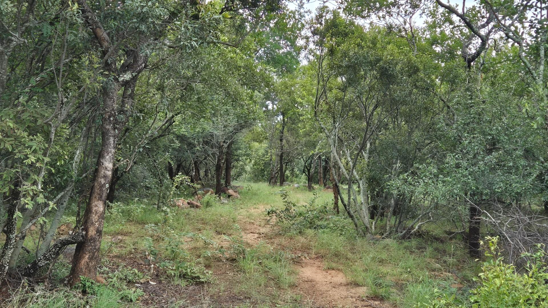 Stunning 1 Ha Plot For Sale in Canyon Game Reserve, Hoedspruit