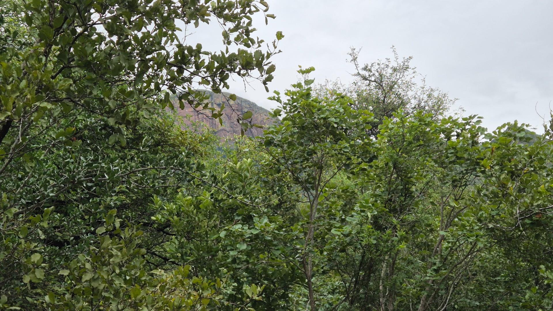 Stunning 1 Ha Plot For Sale in Canyon Game Reserve, Hoedspruit