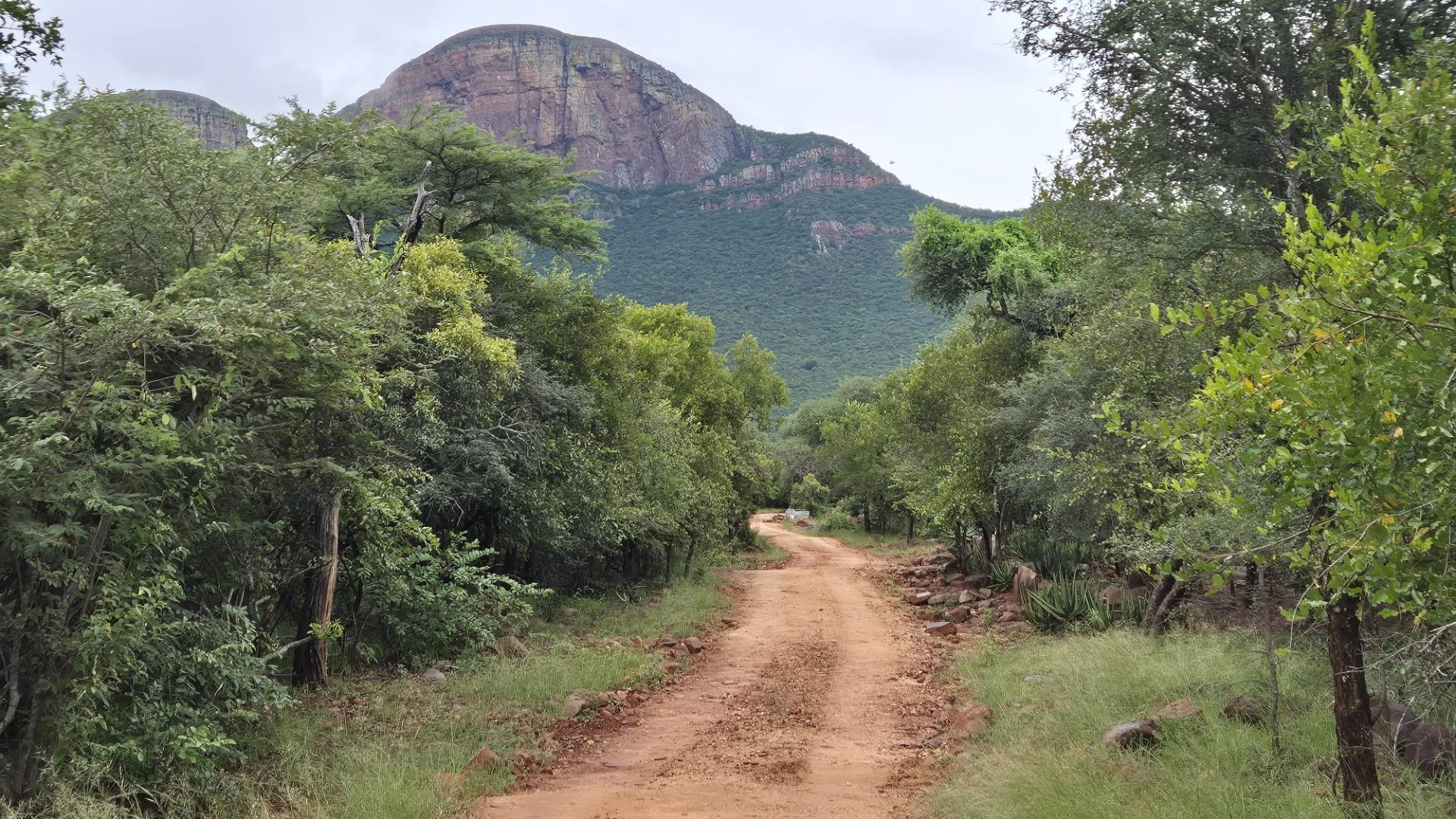 Stunning 1 Ha Plot For Sale in Canyon Game Reserve, Hoedspruit
