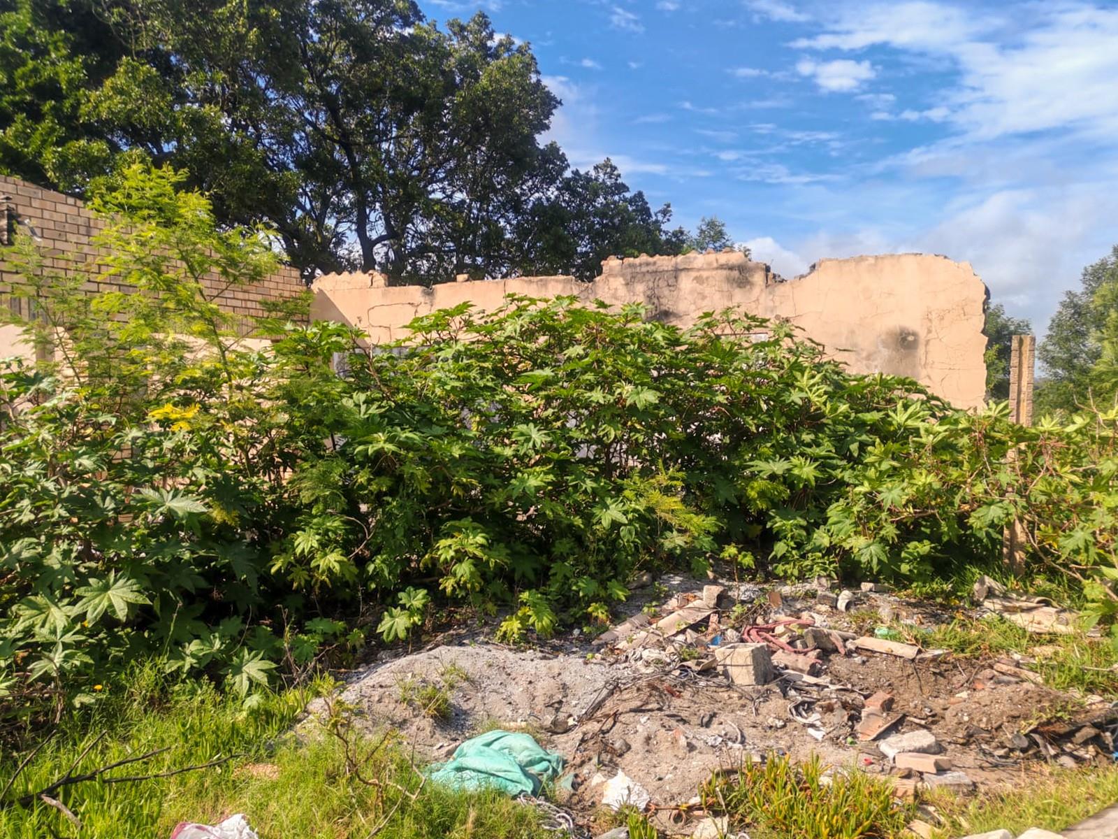 42.84 HECTARES NEAR GREENBUSHES | UNTAPPED POTENTIAL ON THE UITENHAGE ROAD CORRIDOR