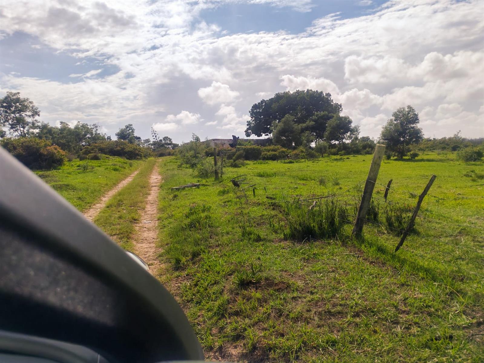 42.84 HECTARES NEAR GREENBUSHES | UNTAPPED POTENTIAL ON THE UITENHAGE ROAD CORRIDOR