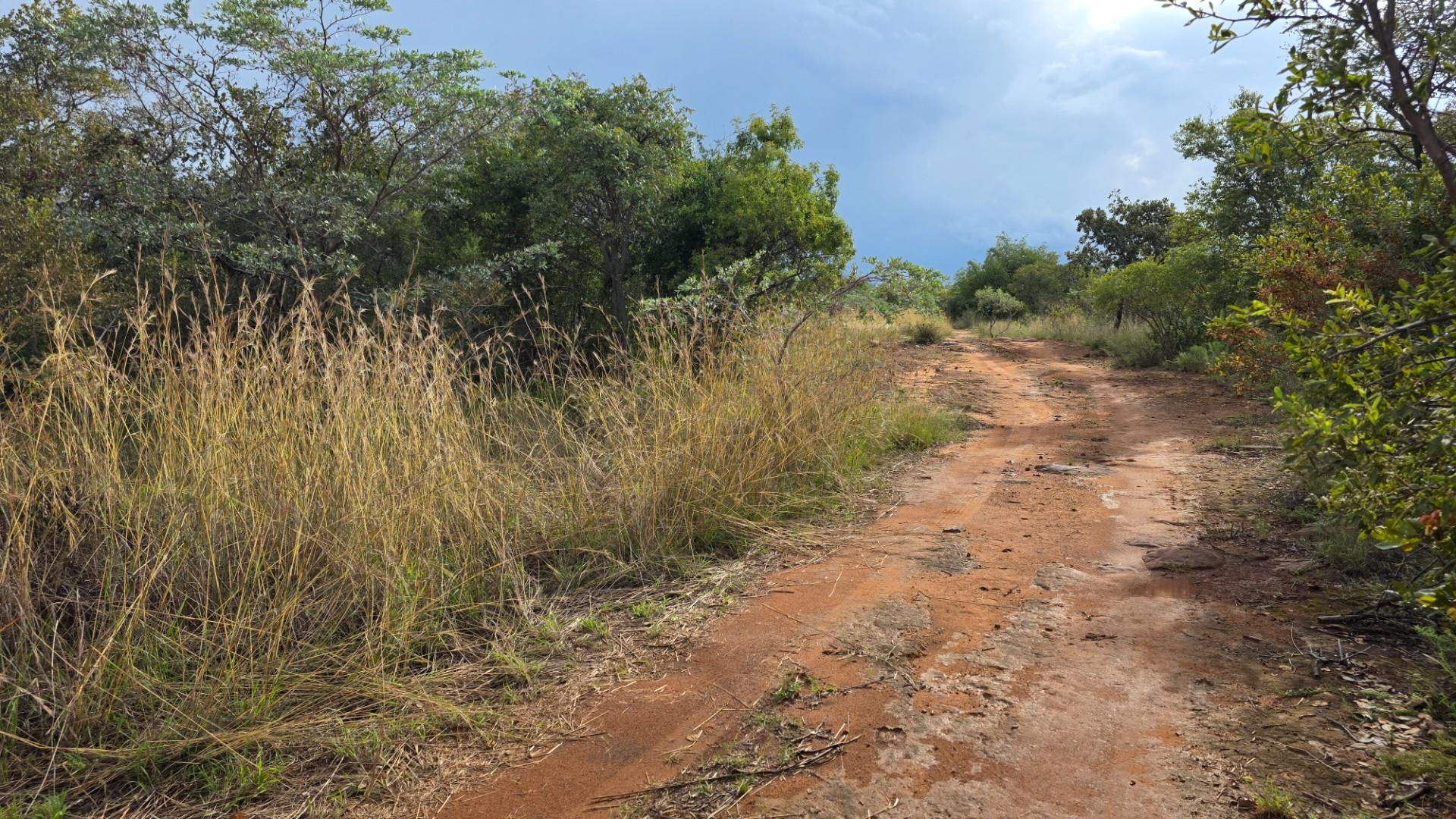 Verloren Estate - Prime North-Facing Stand with Natural Rock Features - PET FRIENDLY