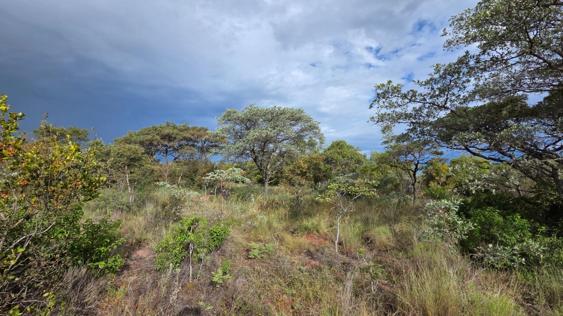 Verloren Estate - Prime North-Facing Stand with Natural Rock Features - PET FRIENDLY