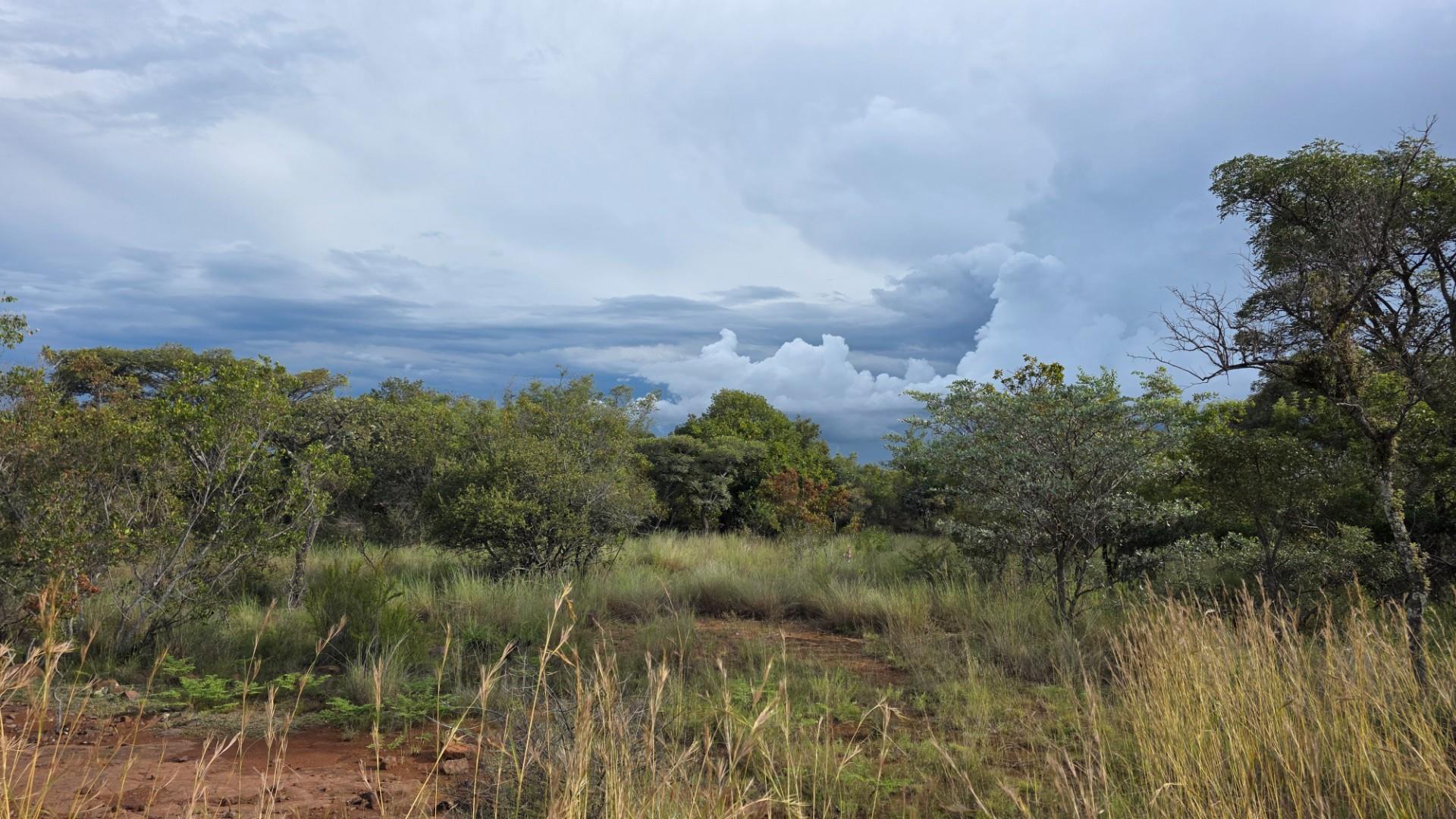 Verloren Estate - Prime North-Facing Stand with Natural Rock Features - PET FRIENDLY