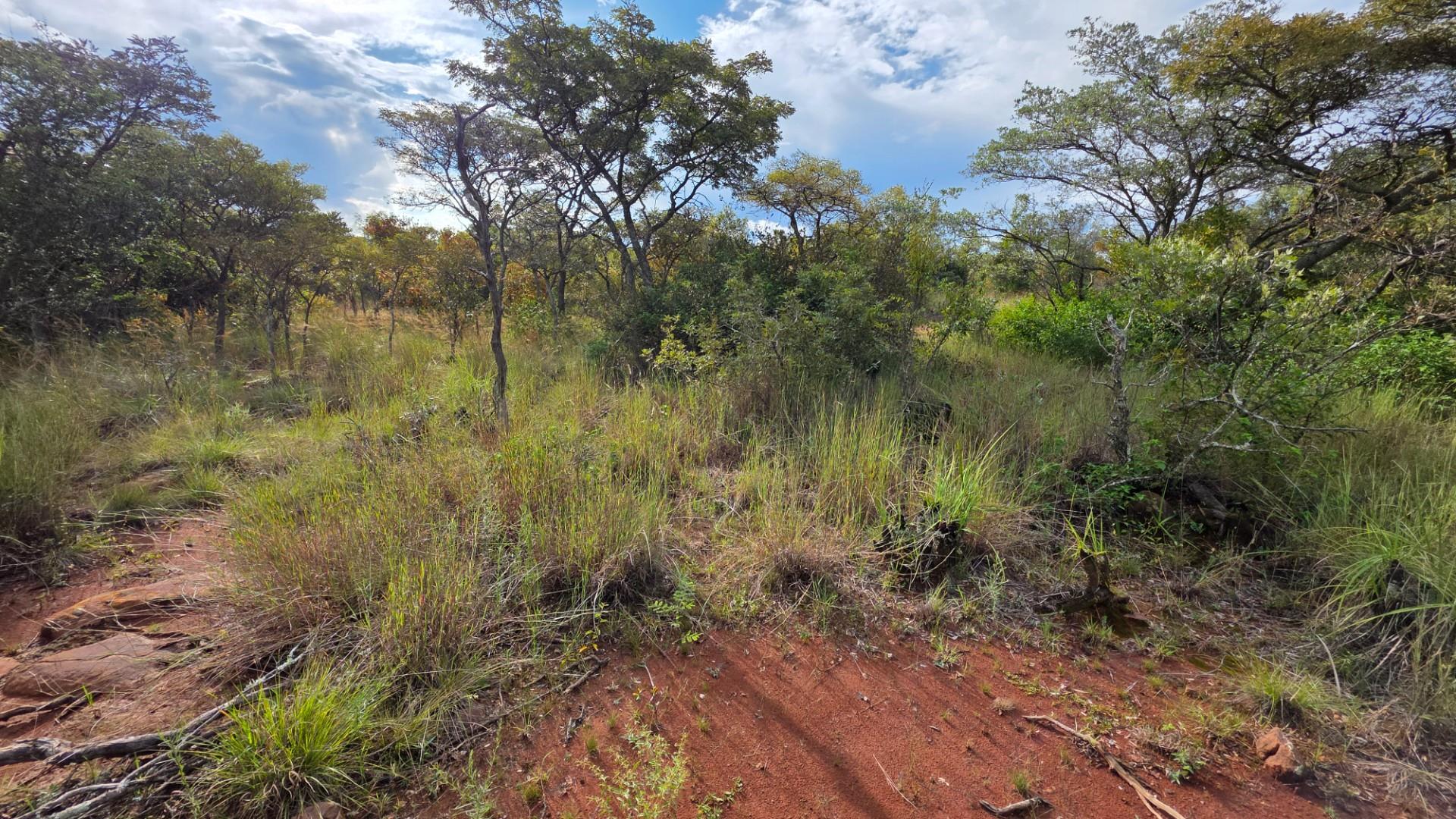 Verloren Estate - Prime North-Facing Stand with Natural Rock Features - PET FRIENDLY