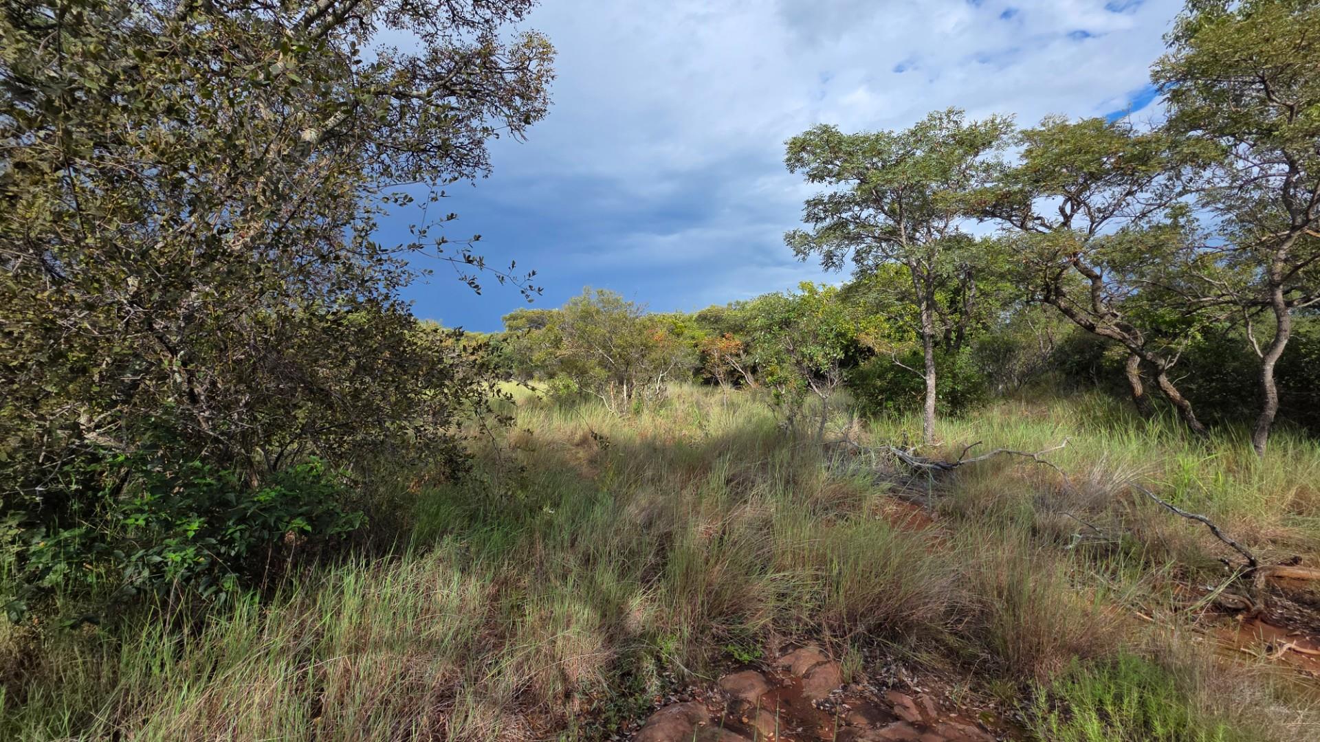 Verloren Estate - Prime North-Facing Stand with Natural Rock Features - PET FRIENDLY