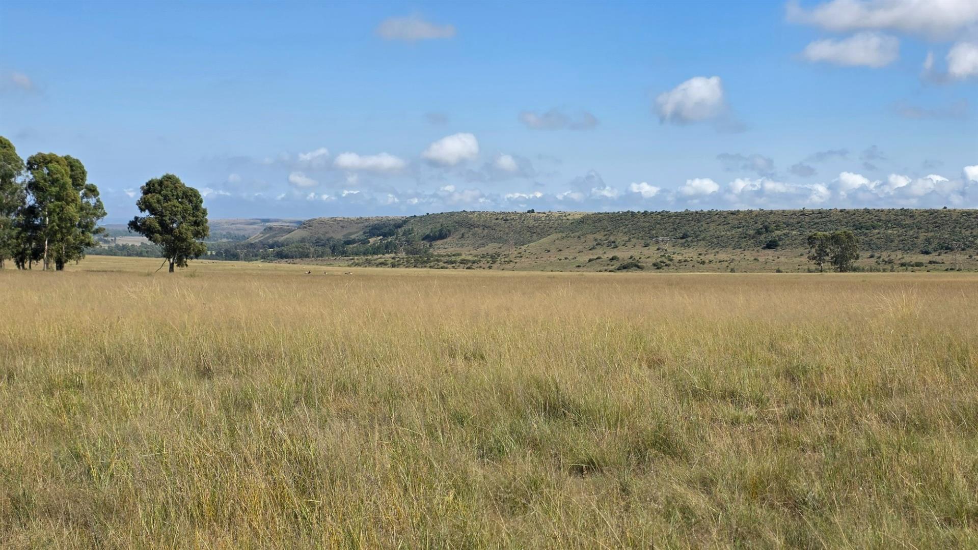 Farm For Sale in Spitskop (533) AH Bronkhorstspruit Rural Bronkhorstspruit Gauteng