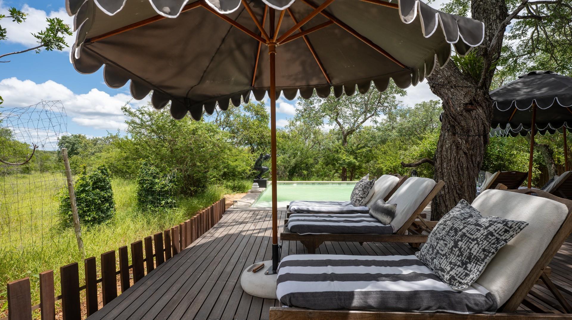 Luxury 7 Bedroom Safari Home or Boutique Lodge | Hoedspruit Wildlife Estate