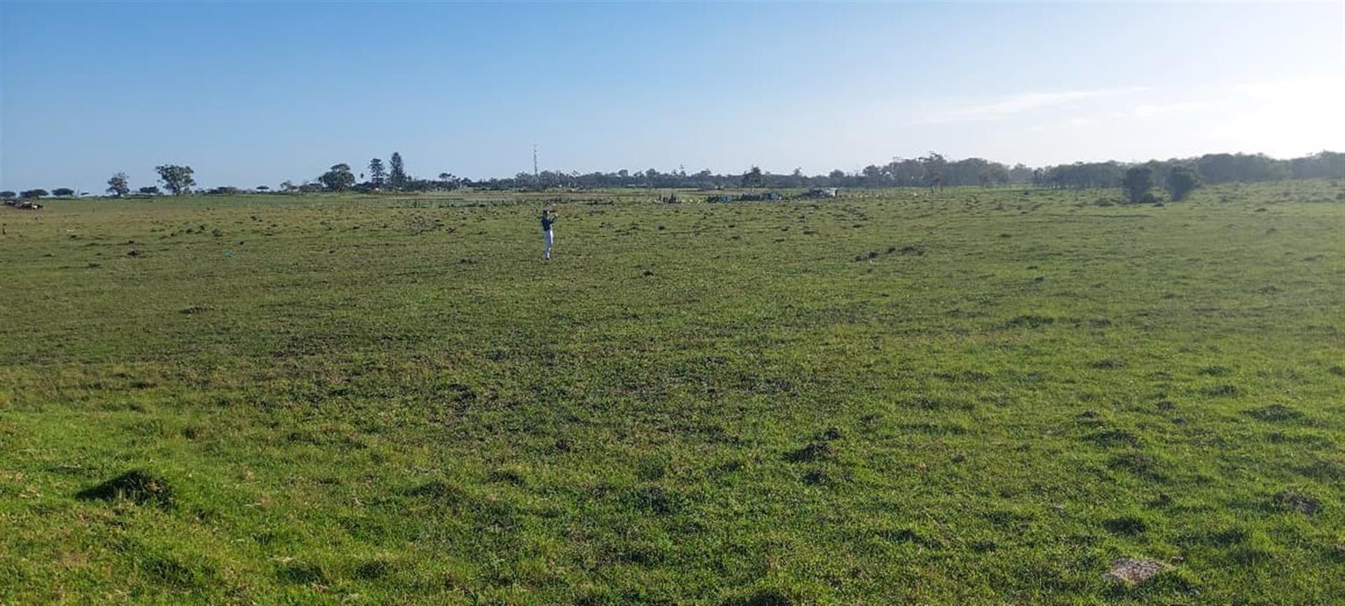 Vacant Land For Sale in Greenbushes, Port Elizabeth