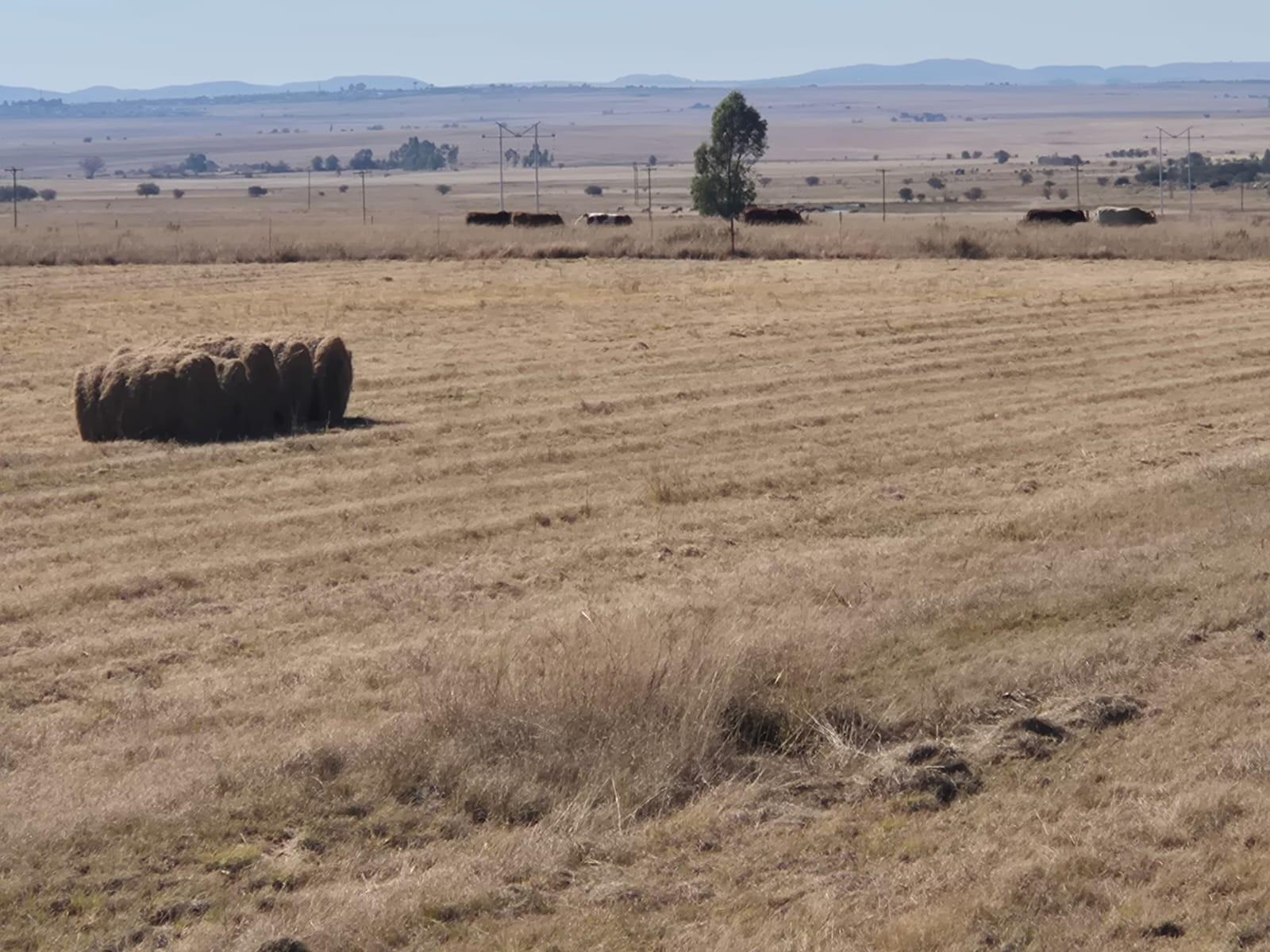 Farm for sale in Vredefort
