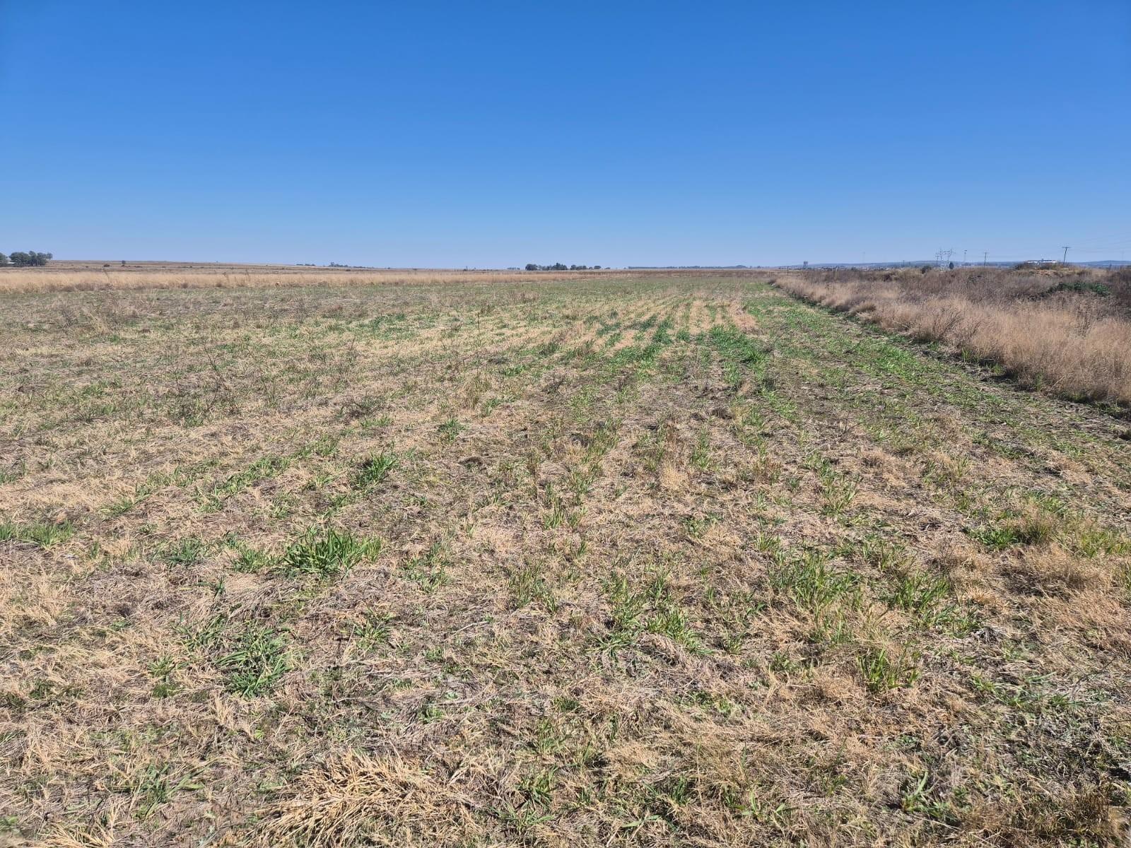 Farm for sale in Vredefort