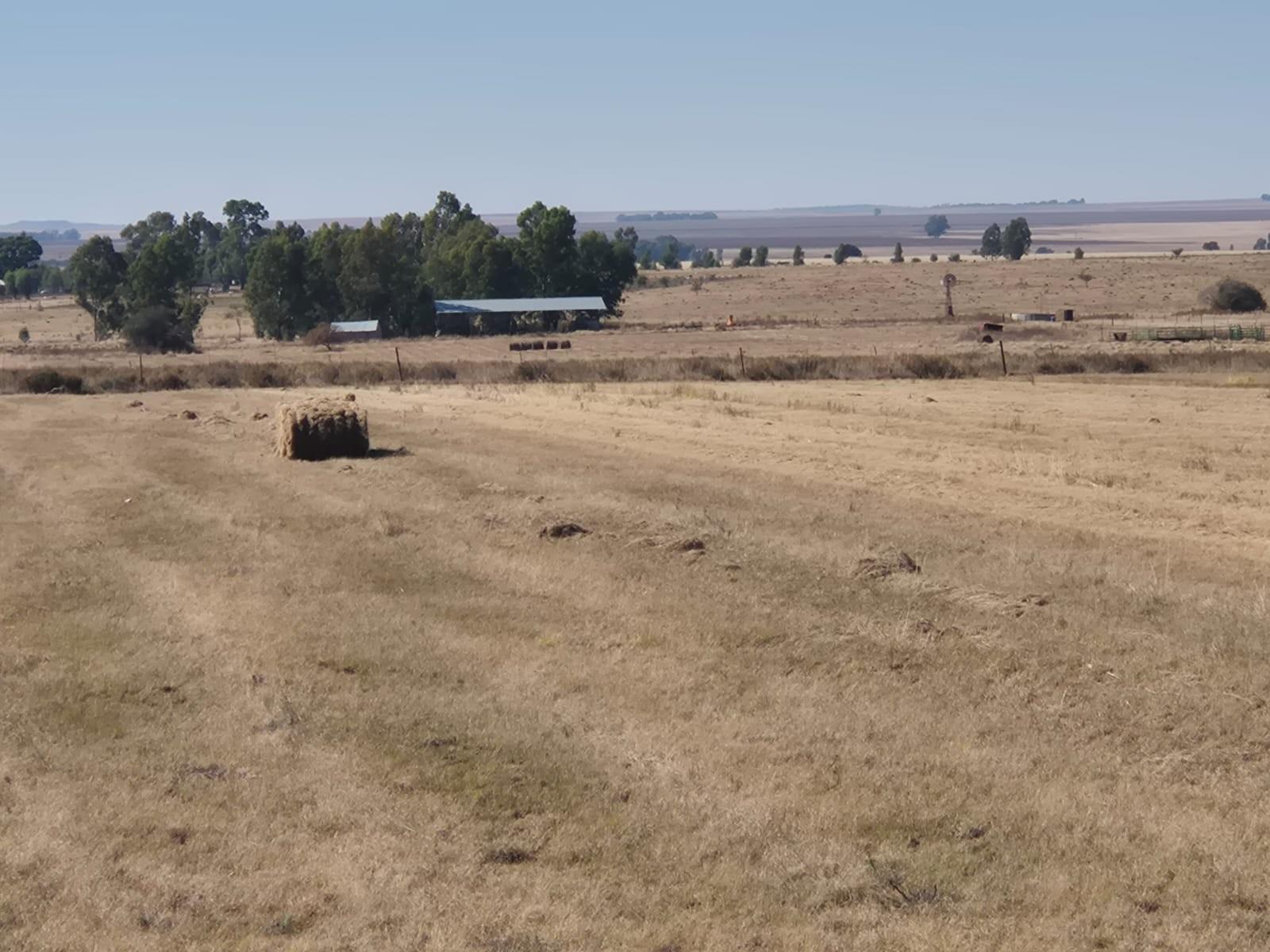 Farm for sale in Vredefort