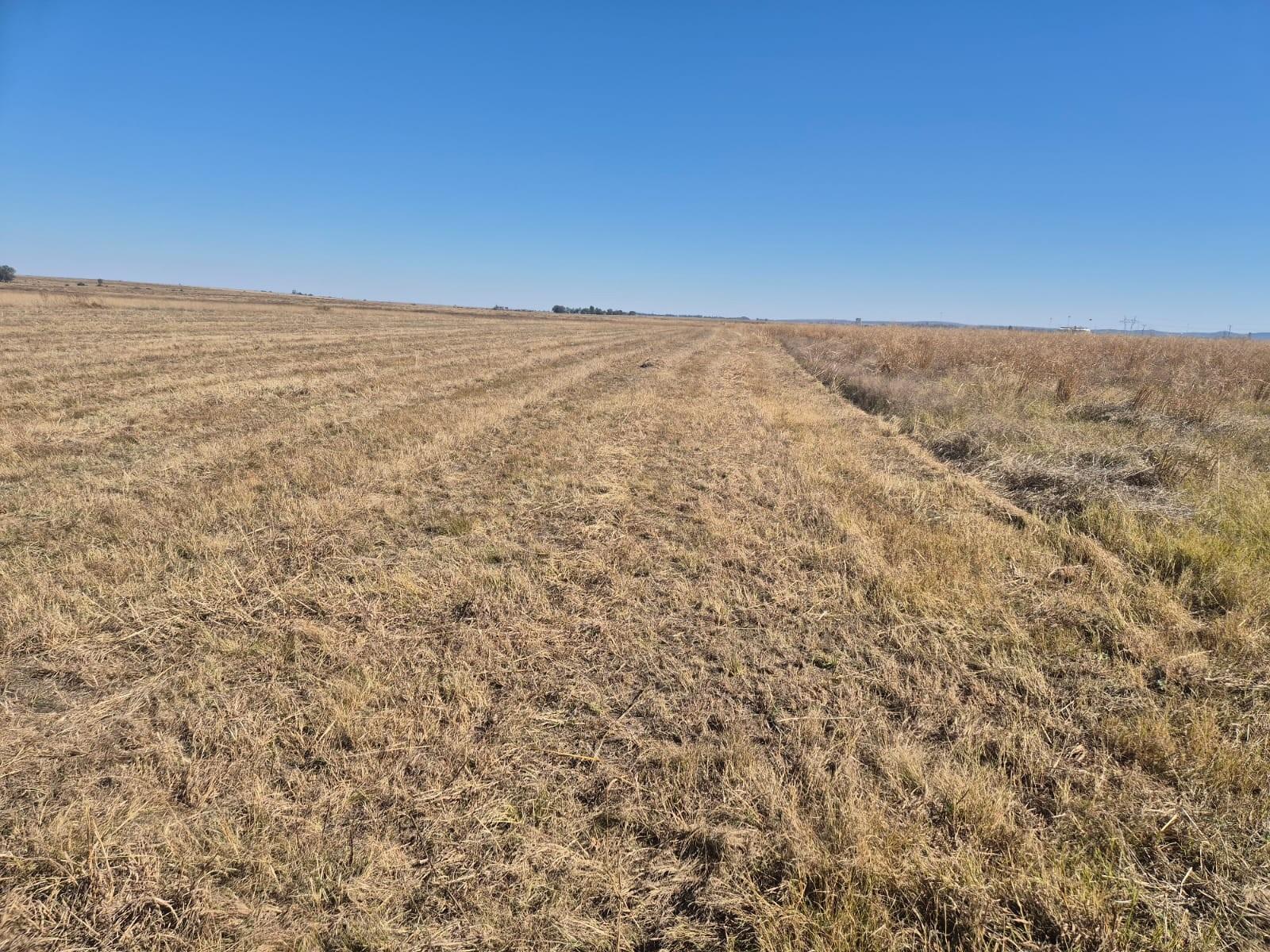 Farm for sale in Vredefort