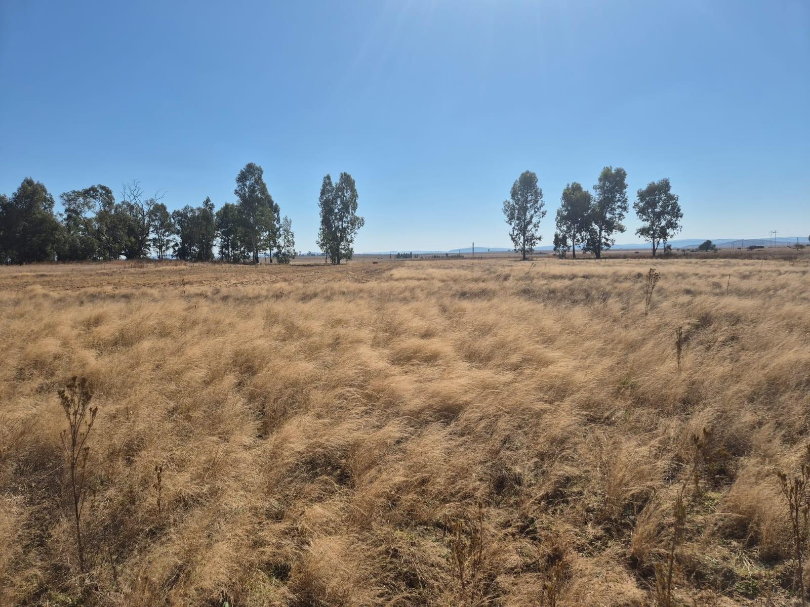 Farm for sale in Vredefort