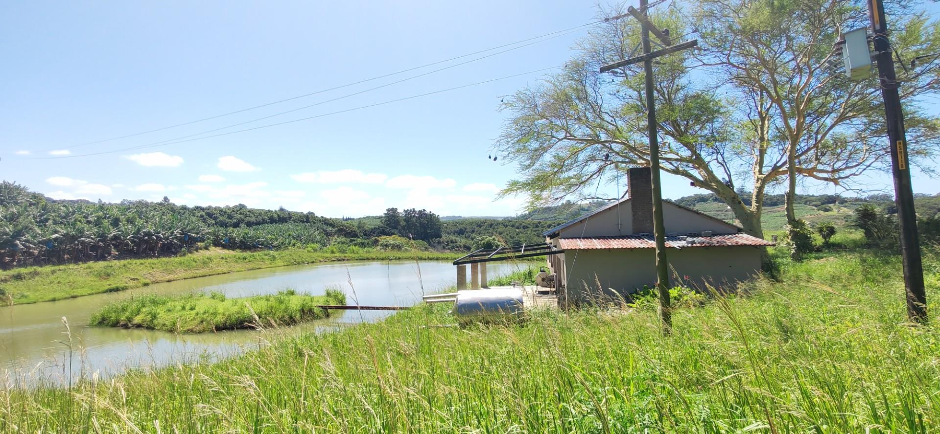 Income Generating Farm For Sale in Ramsgate, Margate, KwaZulu Natal