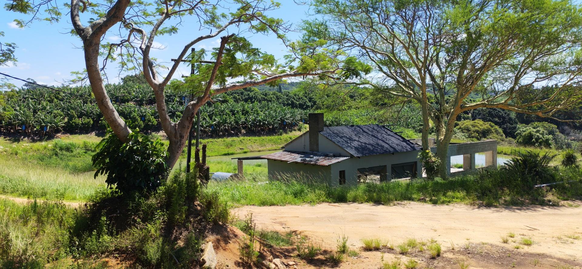 Income Generating Farm For Sale in Ramsgate, Margate, KwaZulu Natal